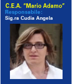 Responsabile CEA
